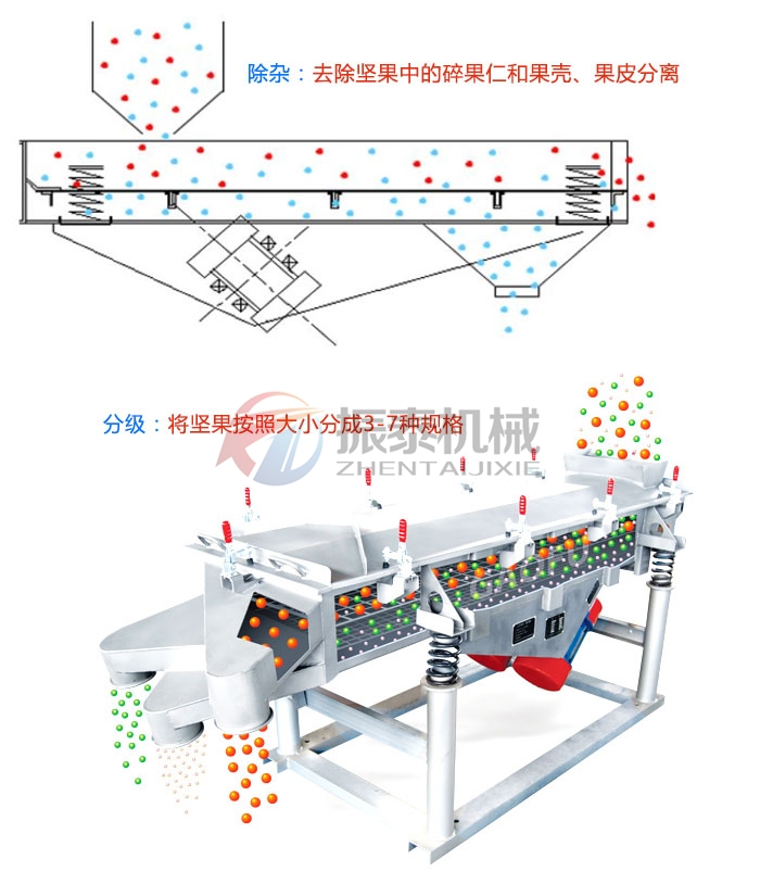 玉米芯粉直线蜜桃传媒在线观看原理