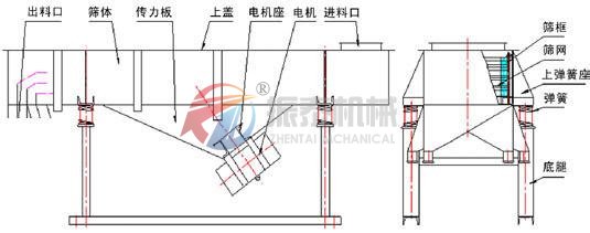 直线蜜桃传媒在线观看外形图